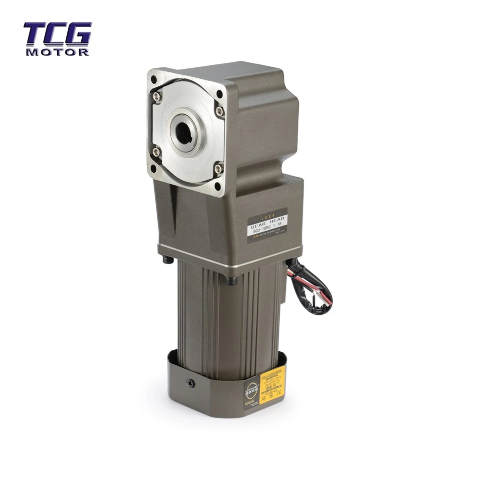Ac Gear Motor Overskud